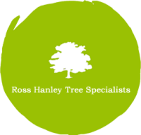 https://treesurgeoninripon.com/