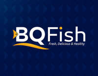 Bq projects gmbh