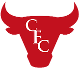 Cornell financial analysts