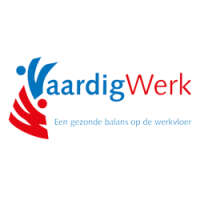 Vaardigwerk