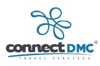 Connect Travel Services