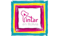Pintar en bolivia