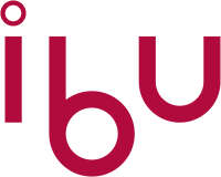 Ingenieurbüro ibu