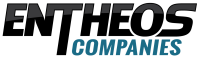 Grupo empresarial entheos