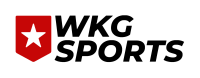 Wkg software gmbh