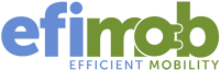 Efimob efficient solutions
