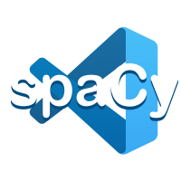 Net-spacy it-services gmbh