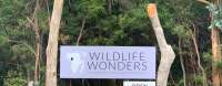 Great ocean road wildlife park