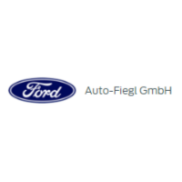 Auto-fiegl