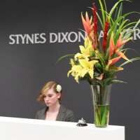 Stynes dixon lawyers
