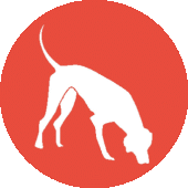 Recherchebureau wassenaar