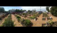St vinnies community garden