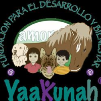Fundación para el desarrollo y bienestar yaakunah a.c