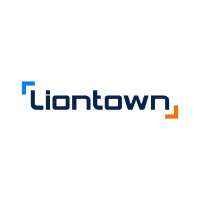 Liontown resources limited