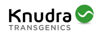 Knudra transgenics
