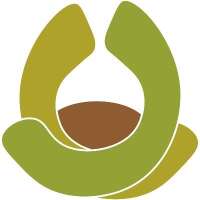 Avogo consulting