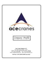 Ace crane systems llc