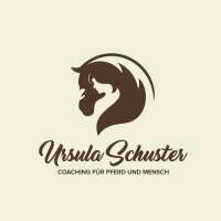 Horsemanship coaching