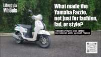 Fazzio fashions