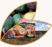 Frutos tropicales europe