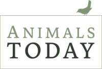 House of animals foundation nederland