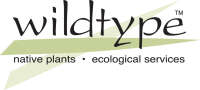 Wildtype native plant nursery