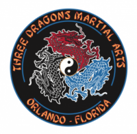 Three dragons martial arts academy