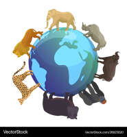 Animals around the globe