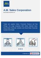 A.m. sales corporation - india