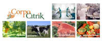 Corpo citrik s.a. de c.v.