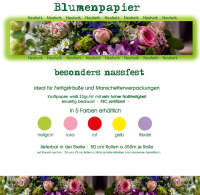 Binhold gmbh