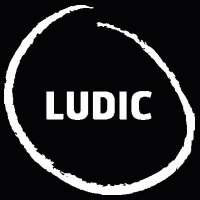 Ludicco - the ludic company