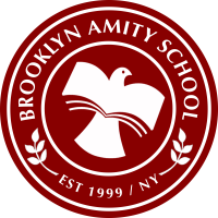 Brooklyn amity school