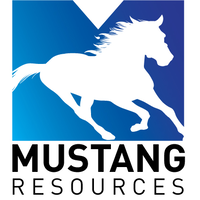 Mustang resources llc