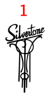 Silvertone international