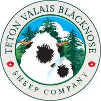 Blacknose