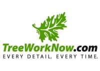 Tree work now llc