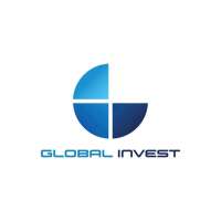 Robust global investment