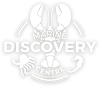 Marine discovery centre