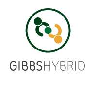 Gibbs hybrid