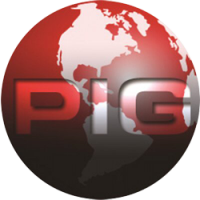 Nwi investigative group