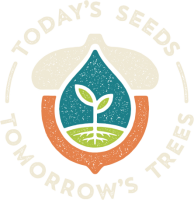 Http://www.tomorrowstrees.com