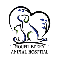 Mount berry animal hospital