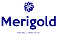 Merigold partners, llc