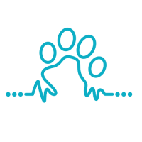 Gray street veterinary clinic