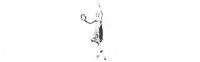 Hugo parker llp