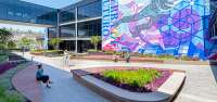 Lynn capouya inc - landscape architects.