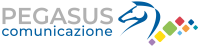 Pikasus comunicazione