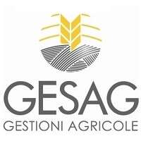 Gesag srl