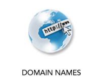 Zid internet div of zymos